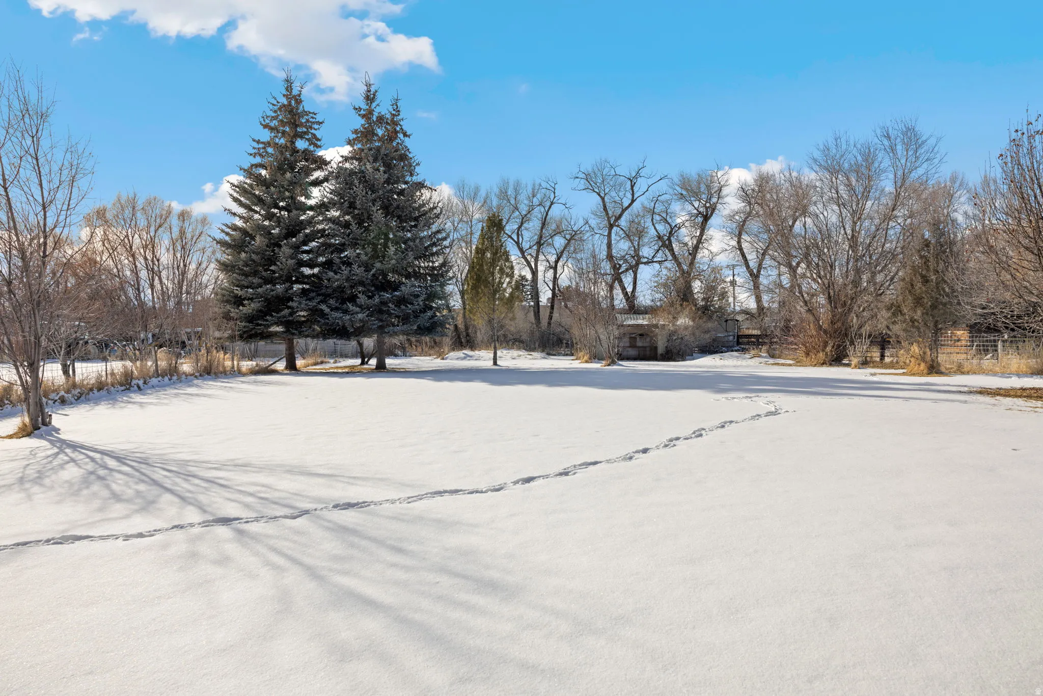 View of snowy yard