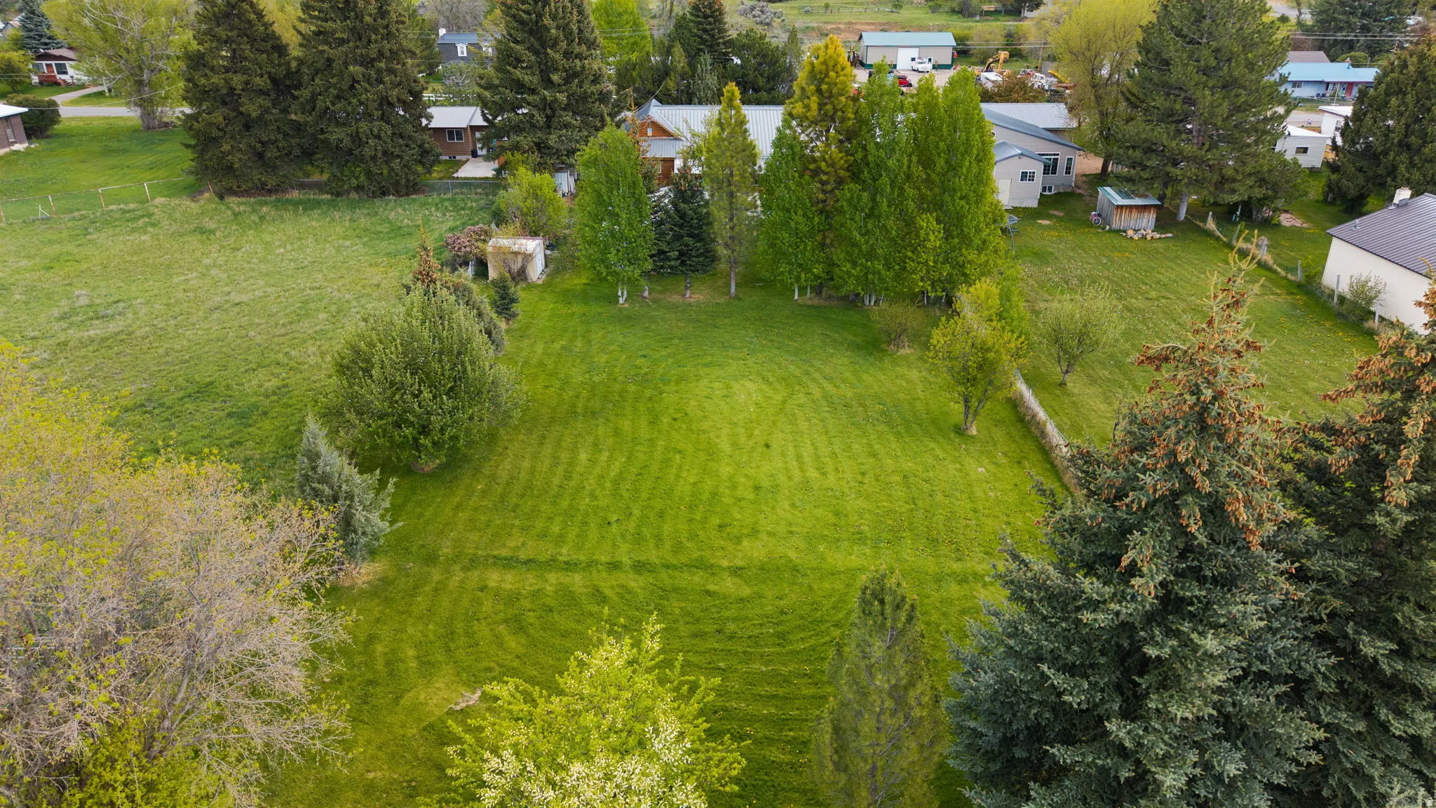Expansive green space featuring a manicured lawn, varied mature trees, and a distant storage shed