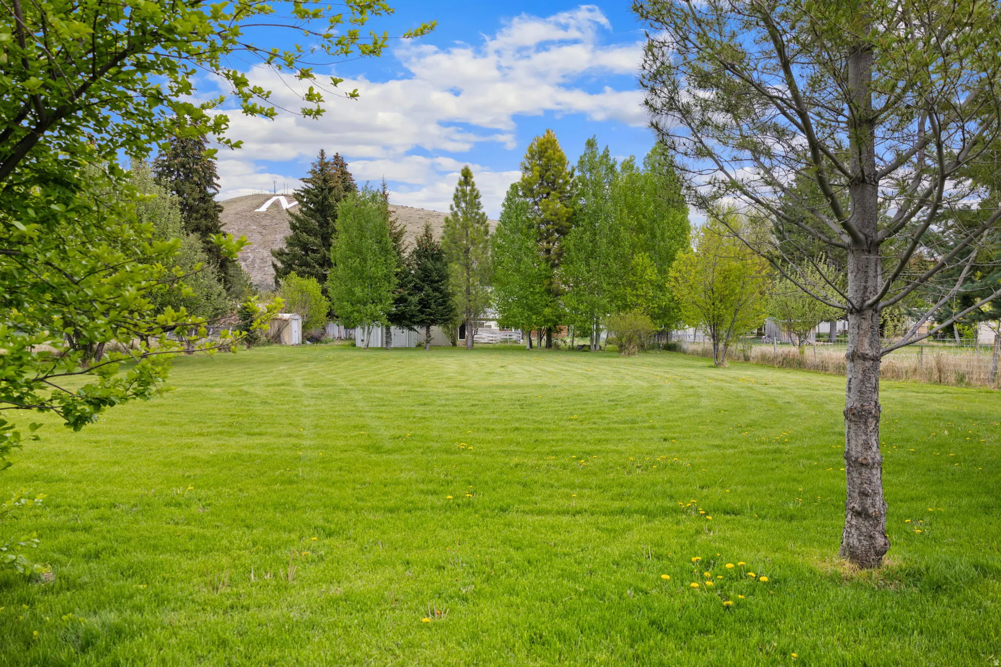 Expansive green lawn framed by mature trees, featuring distant mountain scenery