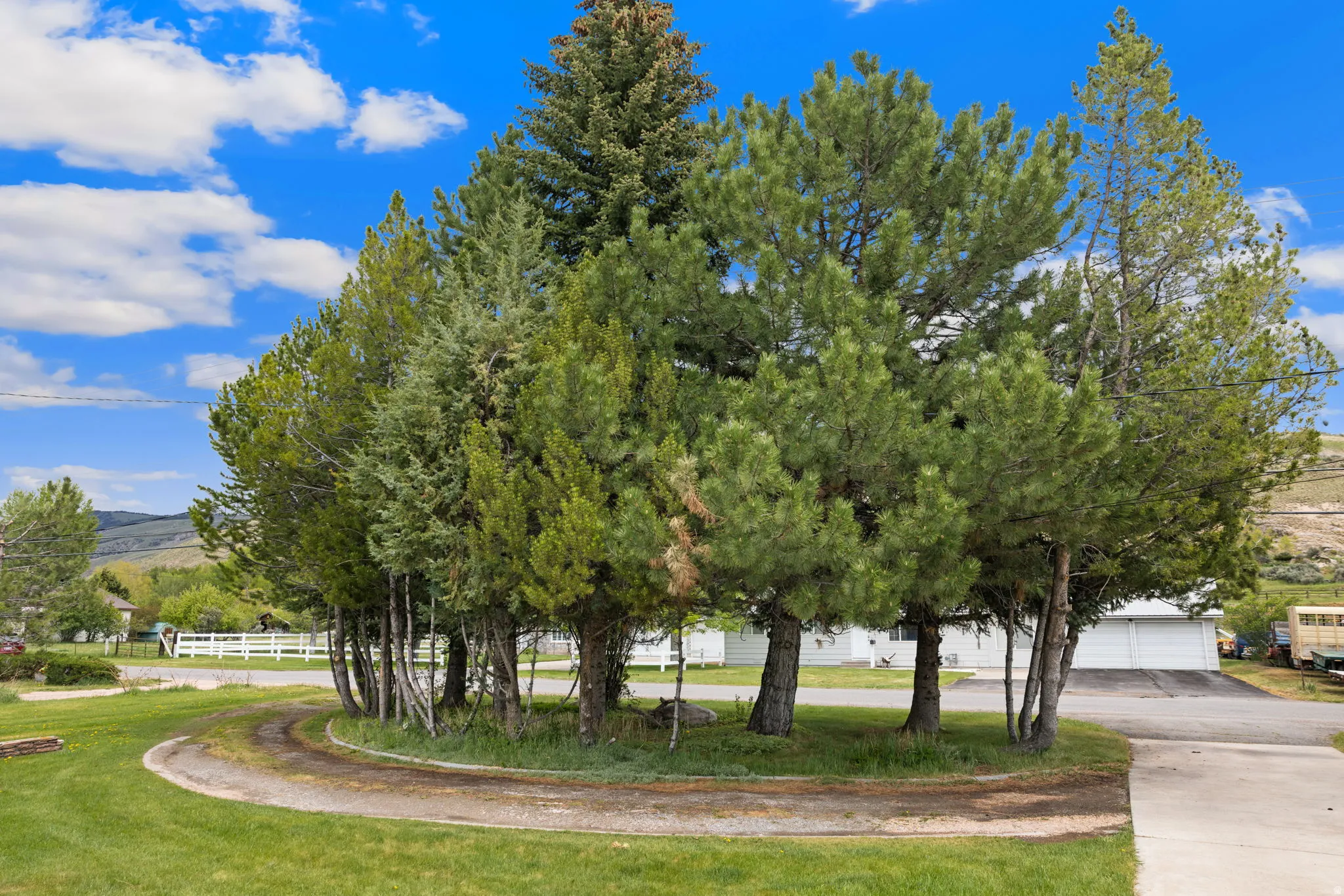 Circular driveway surrounding a mature tree island