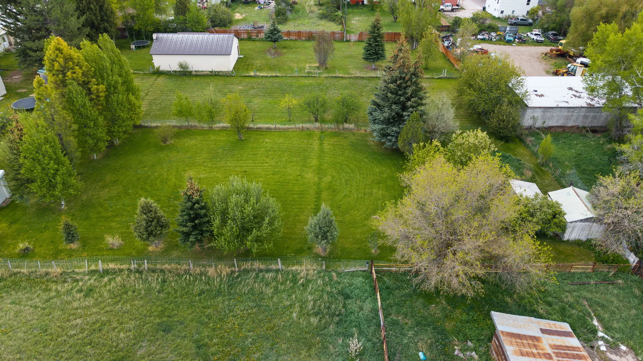 Expansive green space featuring mature trees and established fencing