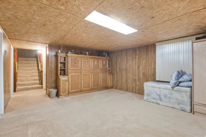 Finished basement featuring light carpet and wood walls