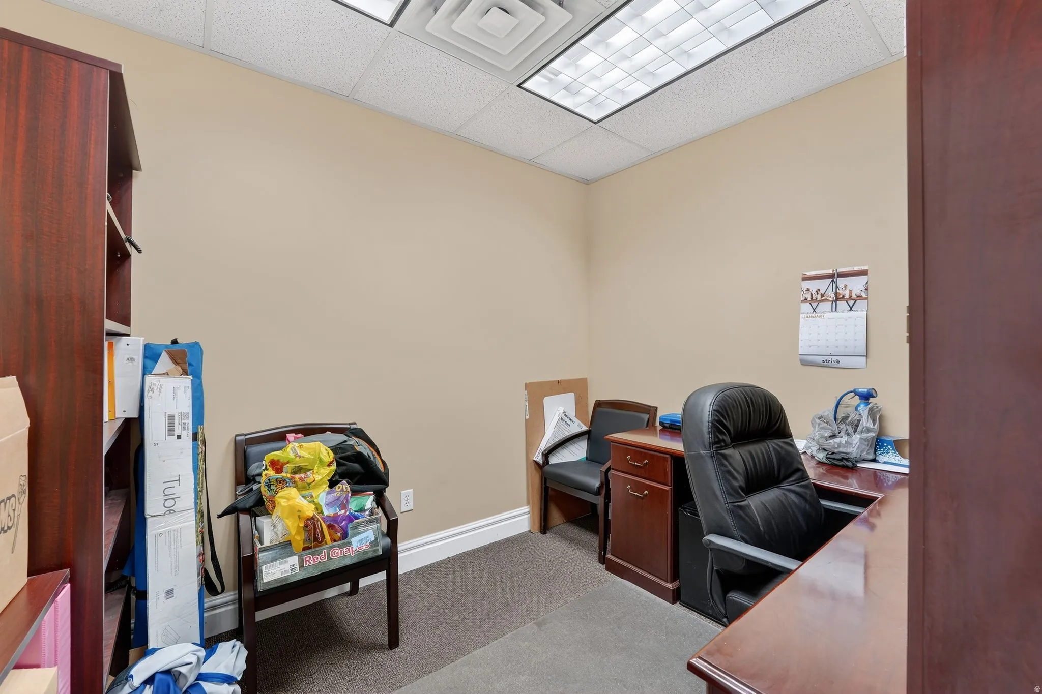 Home office featuring light colored carpet and a drop ceiling