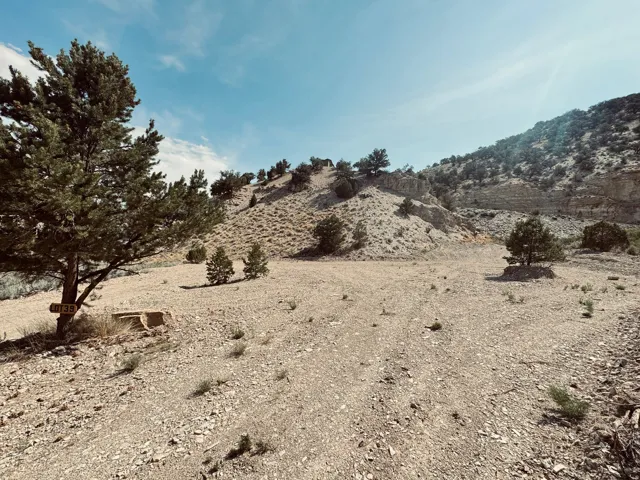 View of undeveloped land
