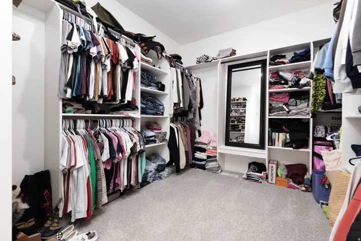 Walk in closet with light carpet