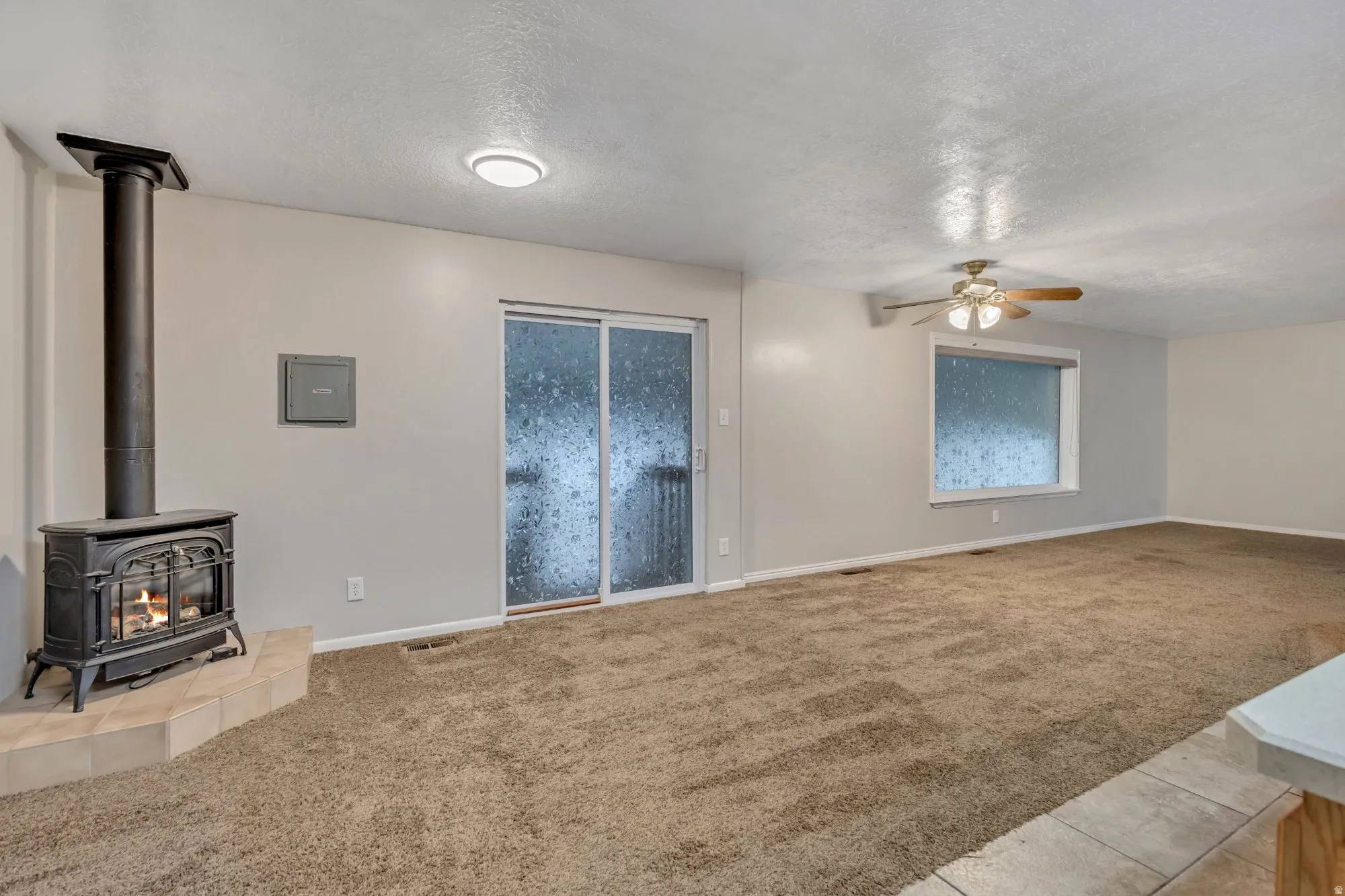 Inviting living room featuring a wood-burning stove and sliding door access, creating a comfortable gathering space with natural light.