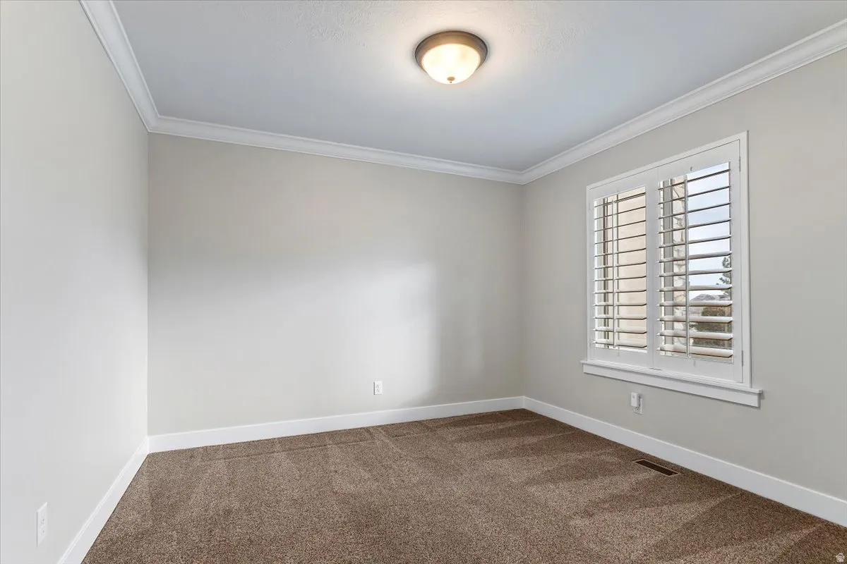 Spare room featuring crown molding and dark colored carpet