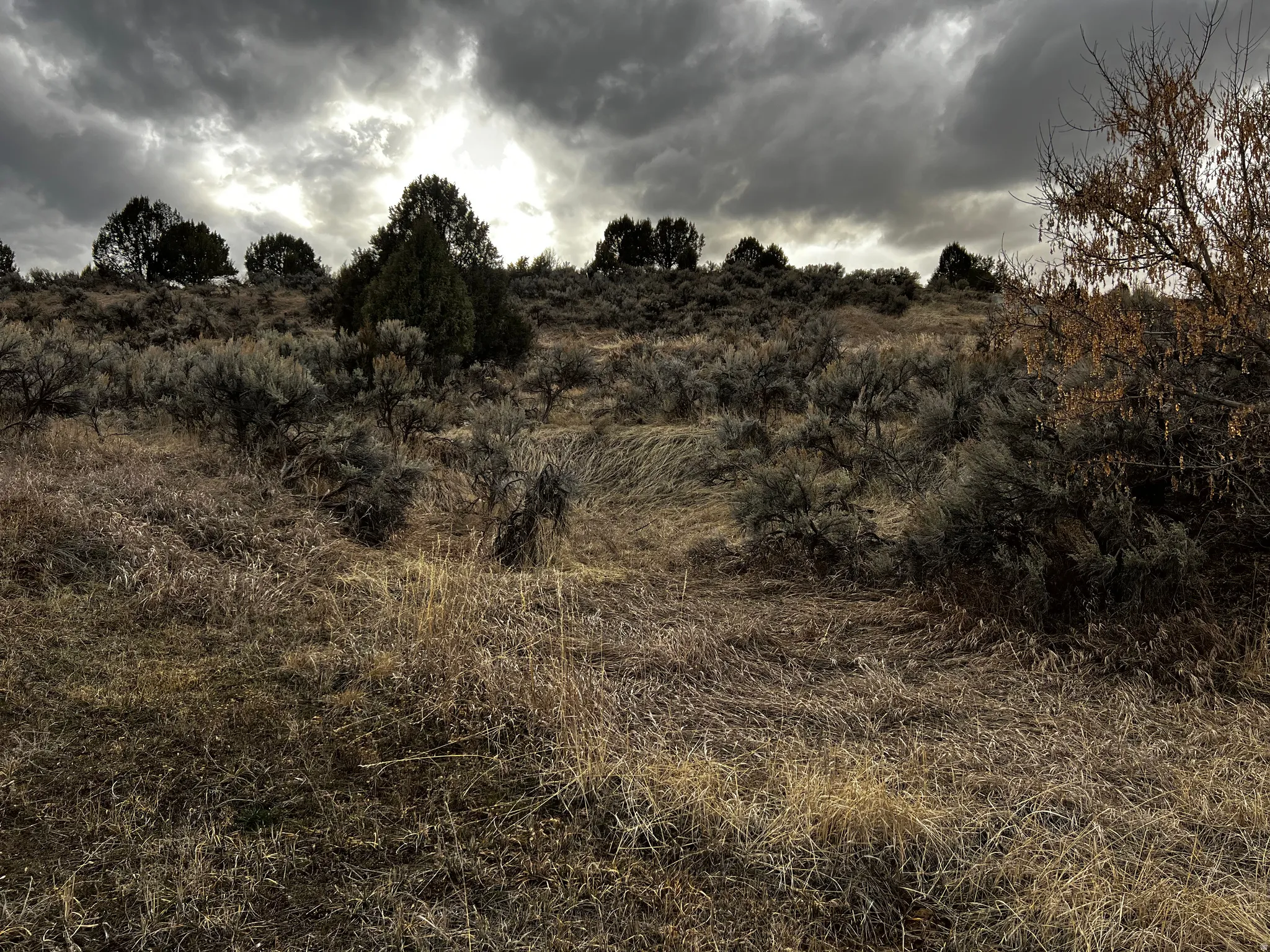 View of undeveloped land
