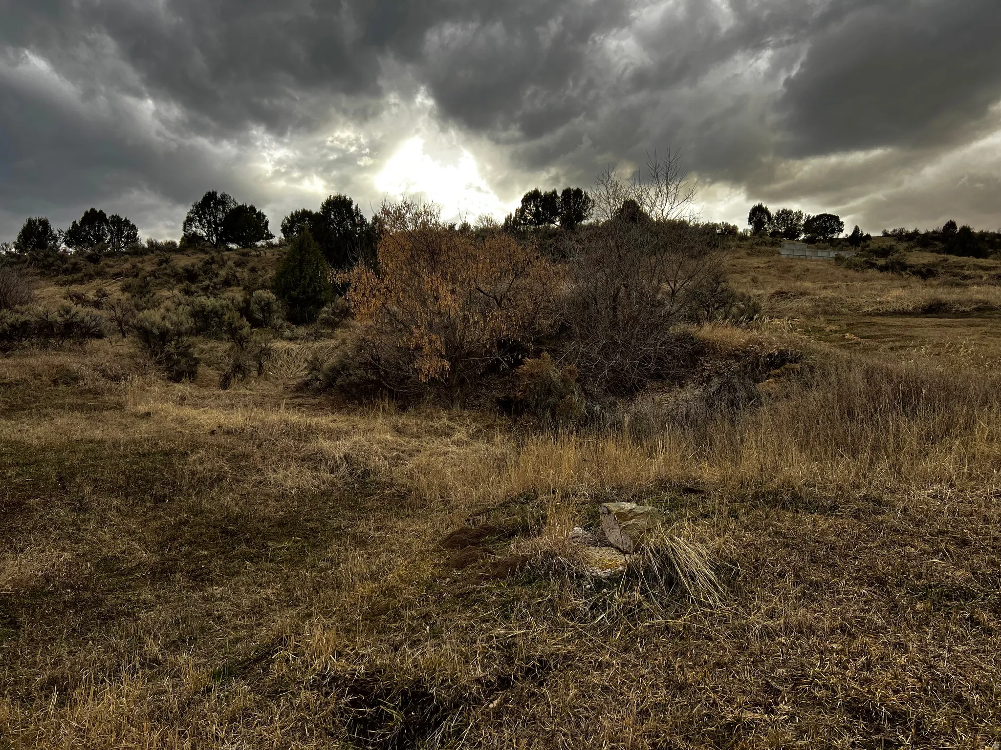 View of nature featuring rural landscape