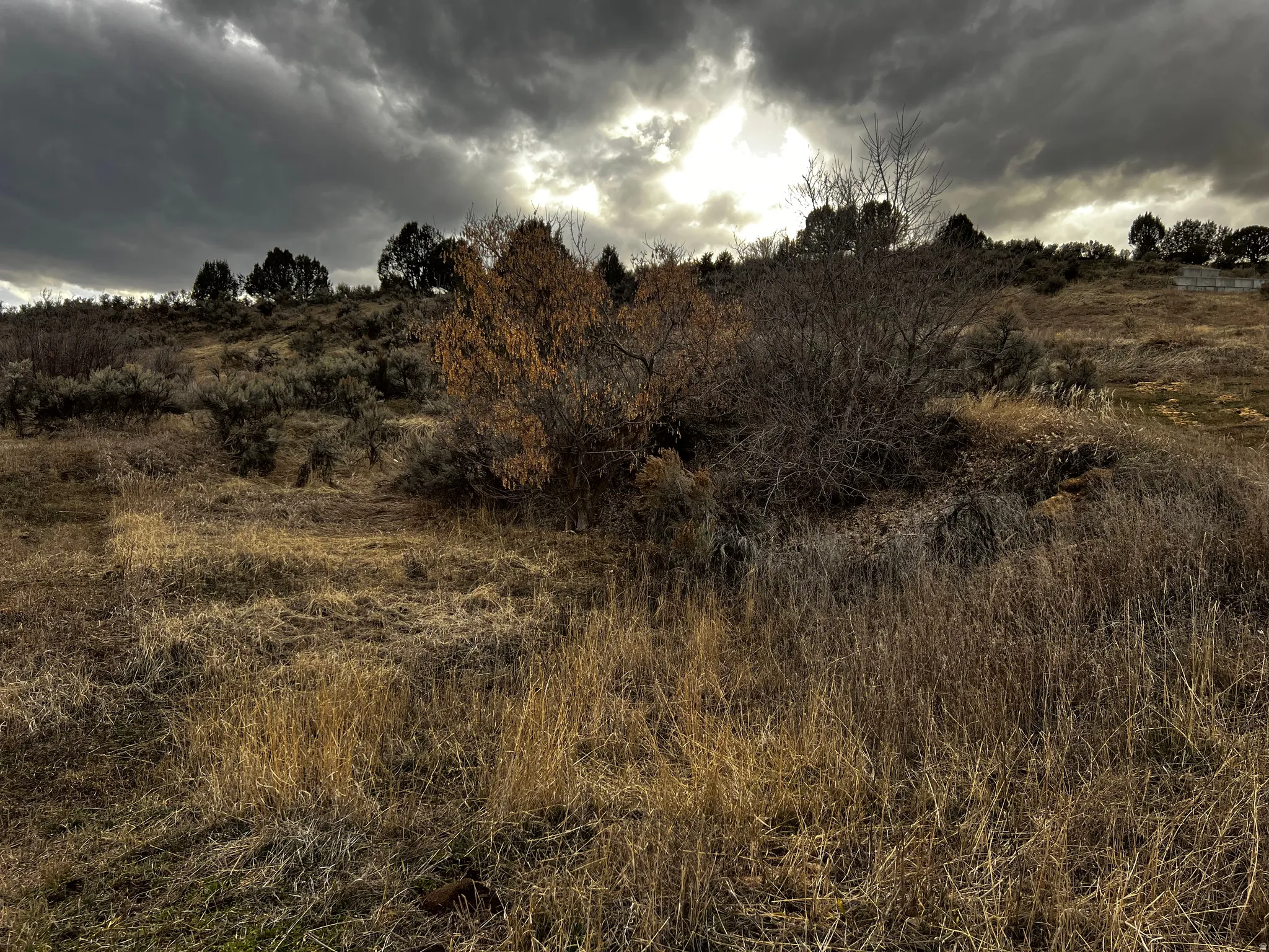 View of local wilderness with rural landscape