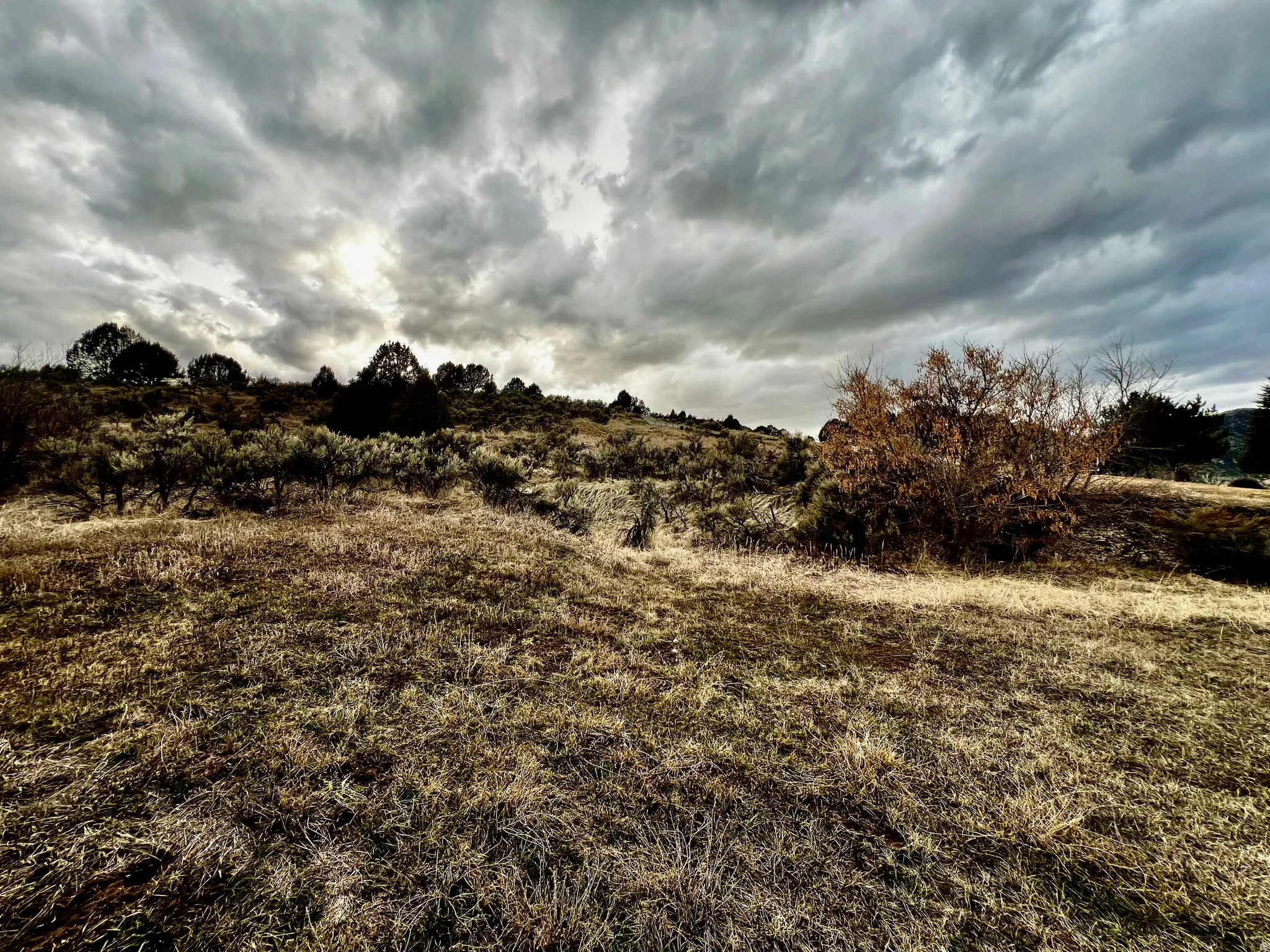 View of local wilderness with rural landscape