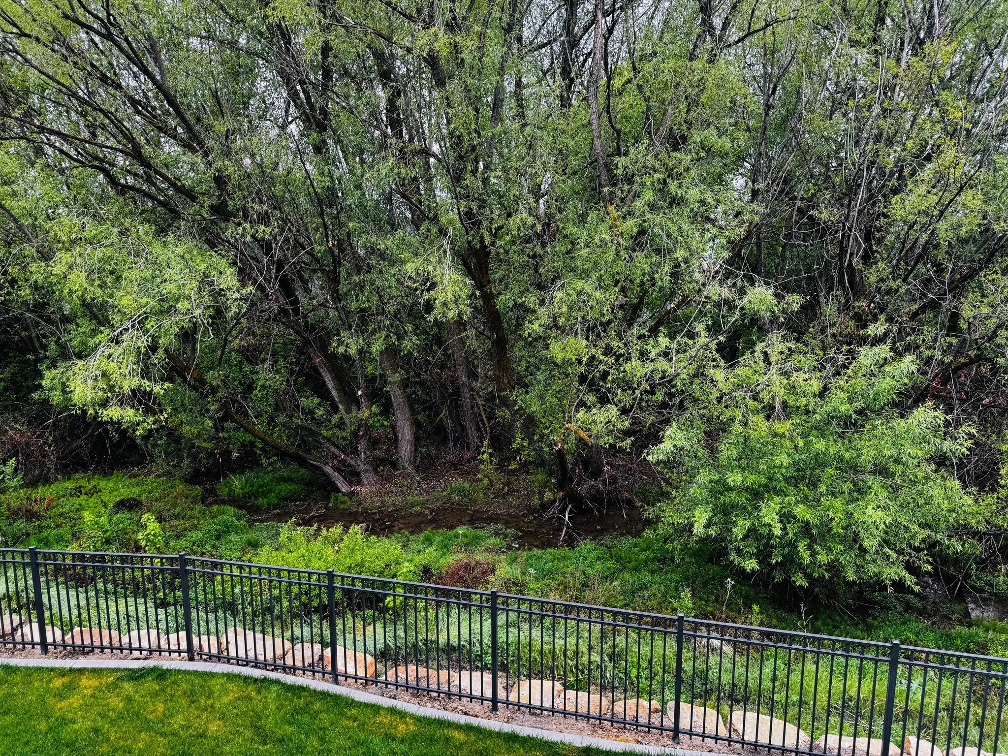 Greenwood Creek View