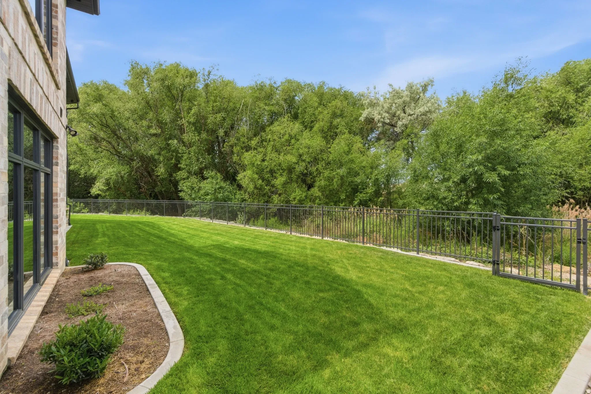 Expansive green lawn with a metal fence bordering mature trees