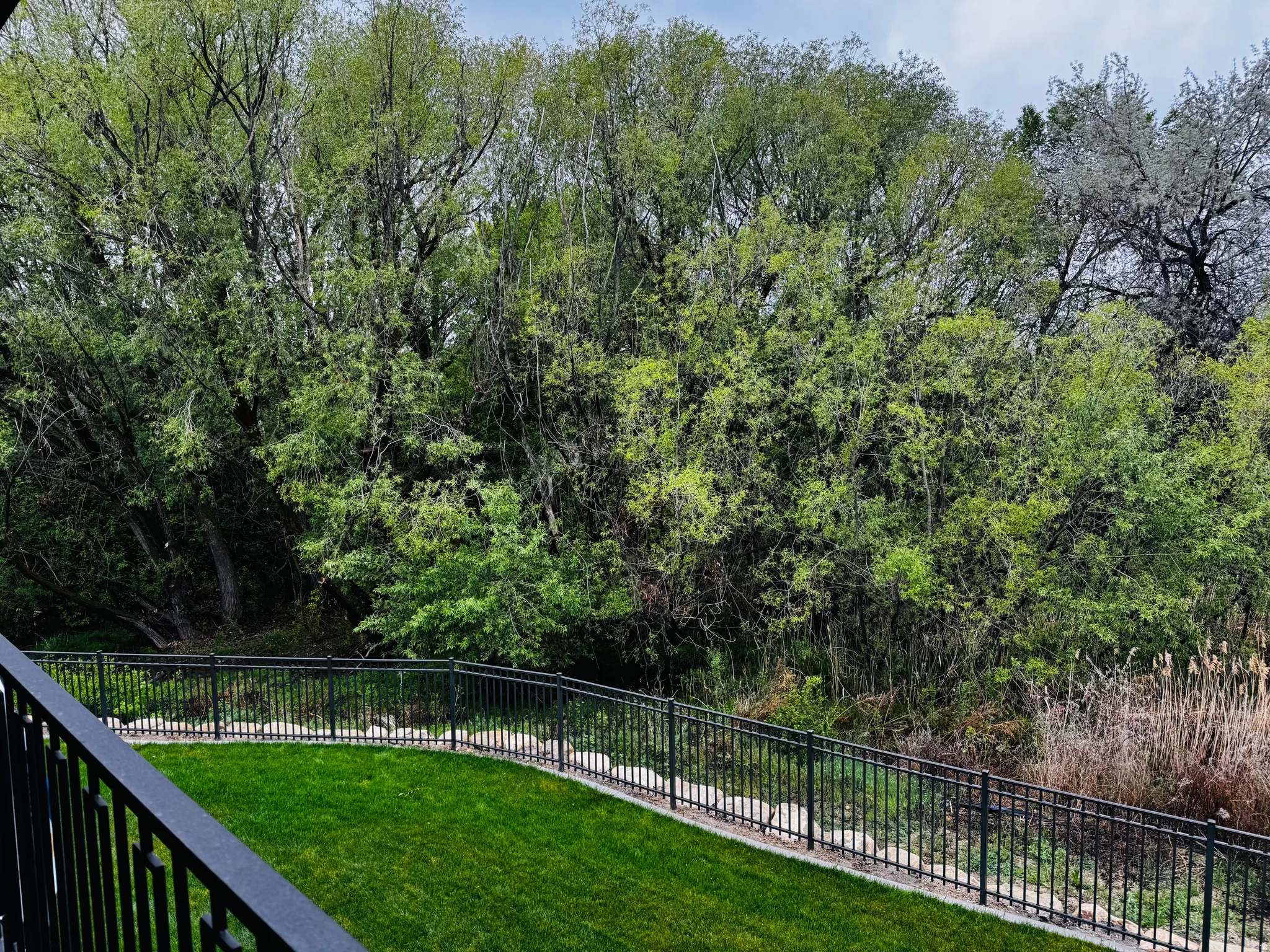View of Creek Trees-Private