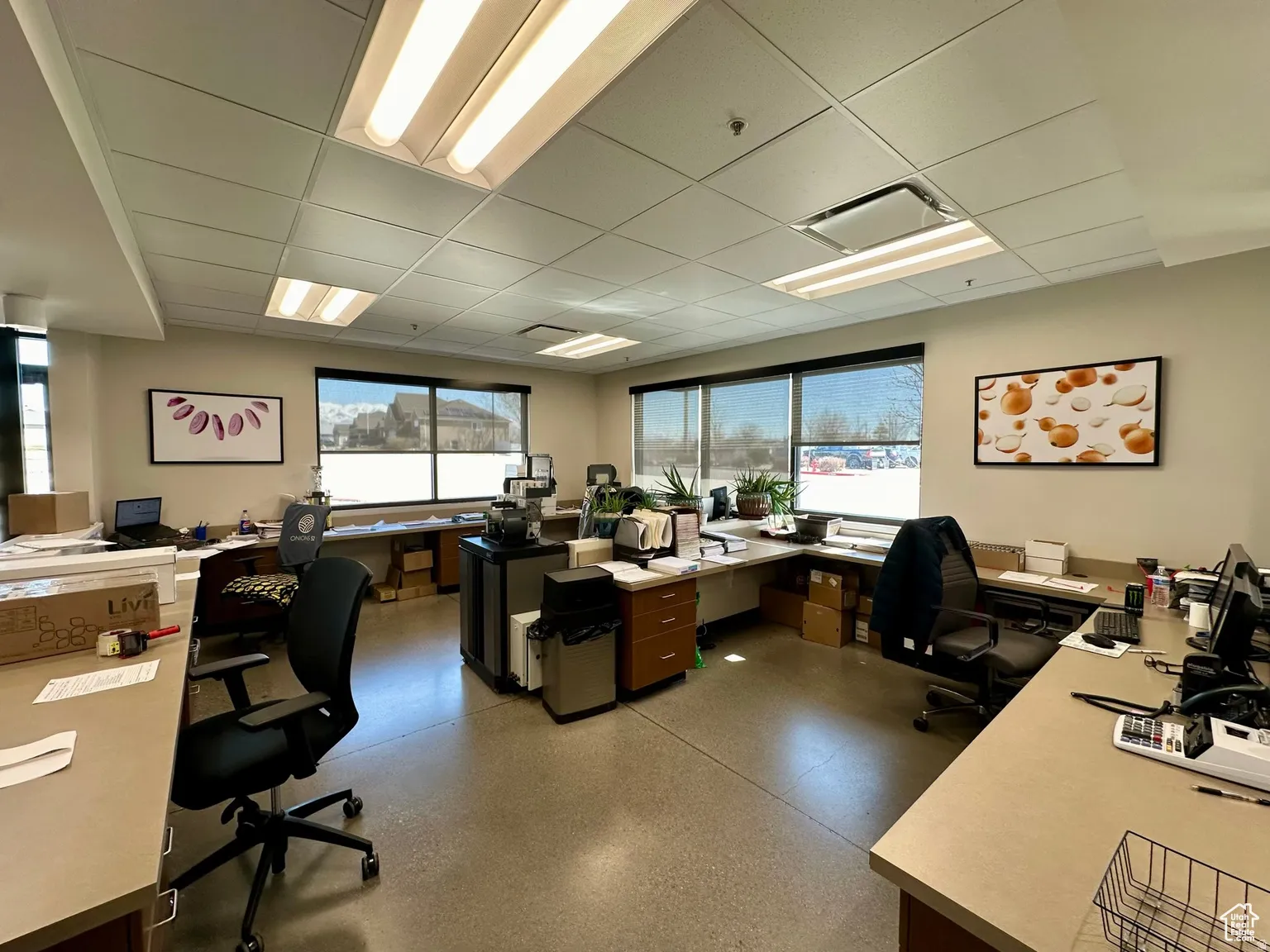 Home office featuring a drop ceiling