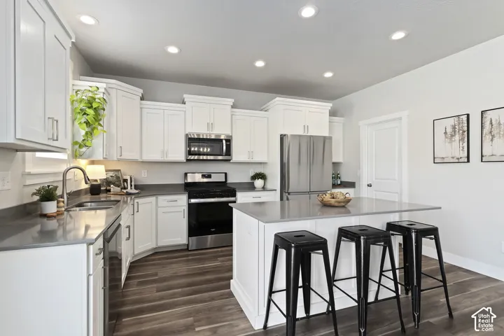 Open-concept kitchen featuring a large island, walk-in pantry, stainless steel appliances, and generous prep space.