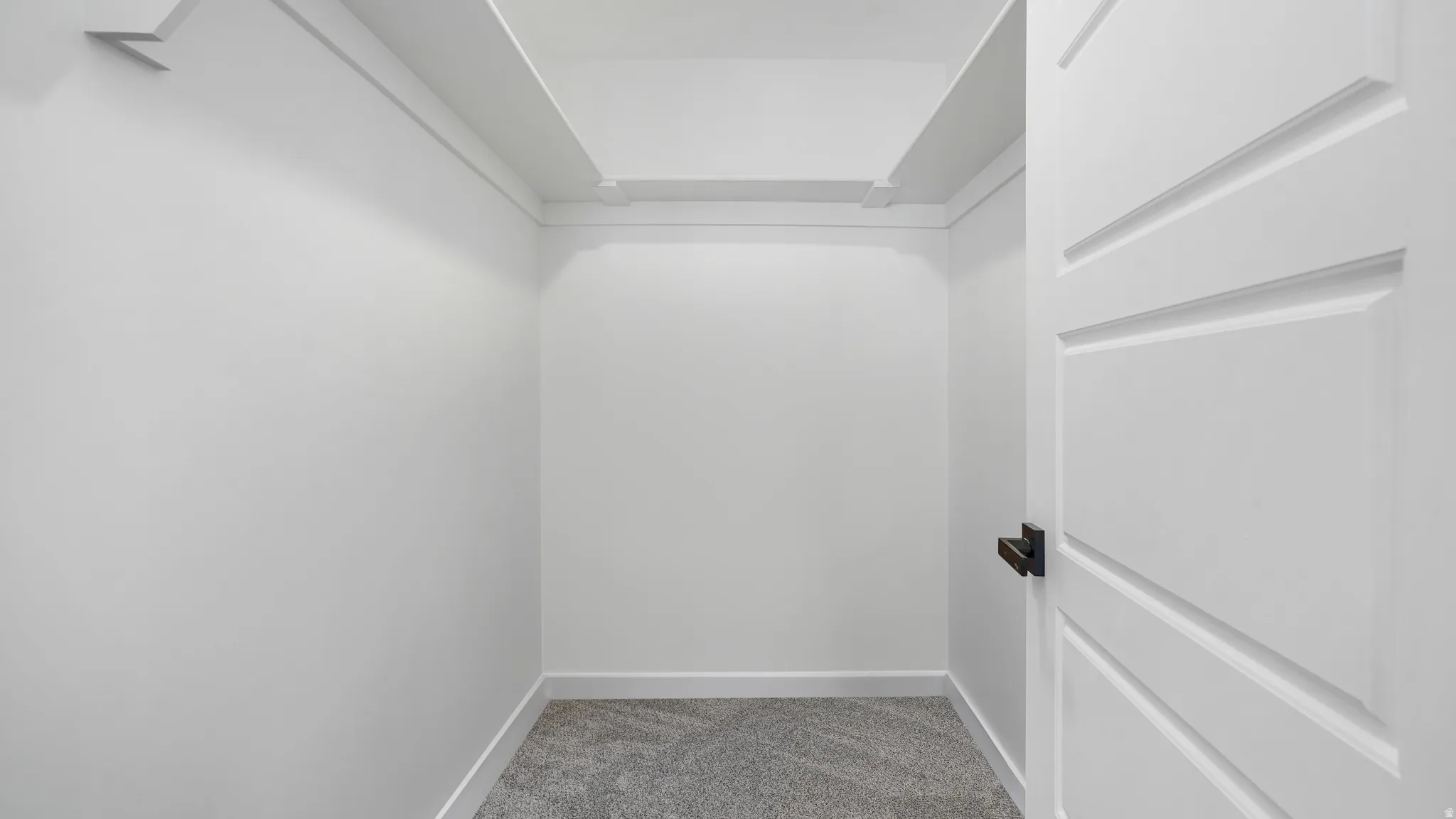 Walk in closet with light colored carpet