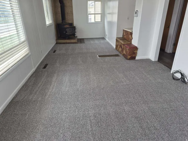 Unfurnished living room with carpet, a wood stove, and plenty of natural light