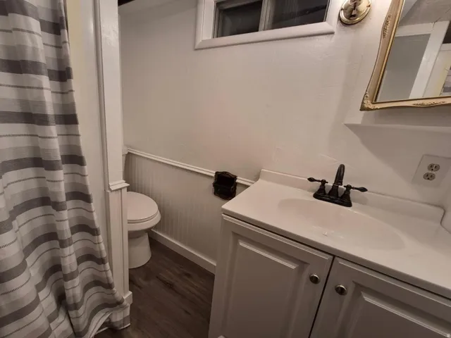 Bathroom featuring curtained shower, vanity, dark wood-style floors, and a wainscoted wall
