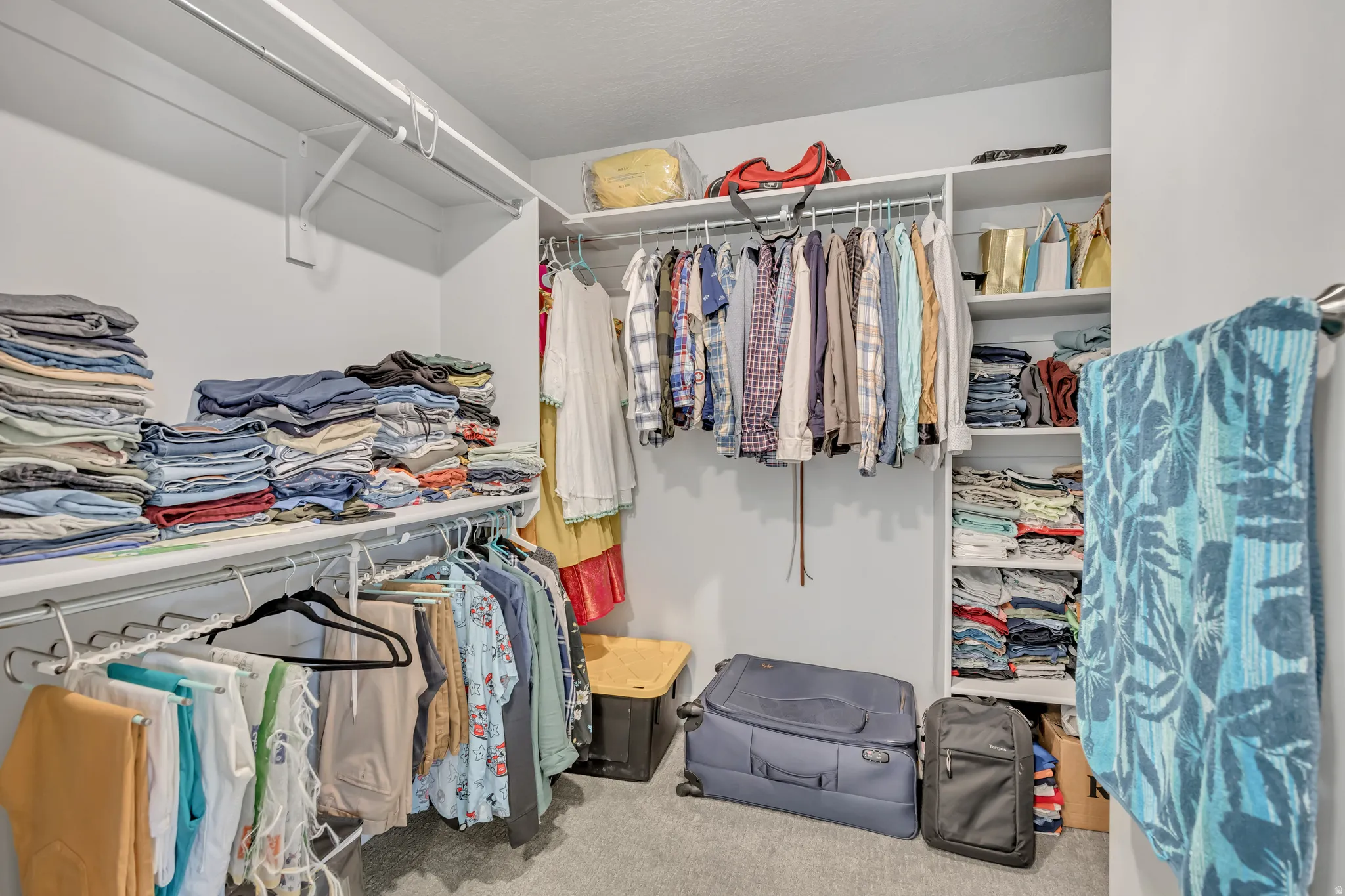 Walk in closet with light carpet
