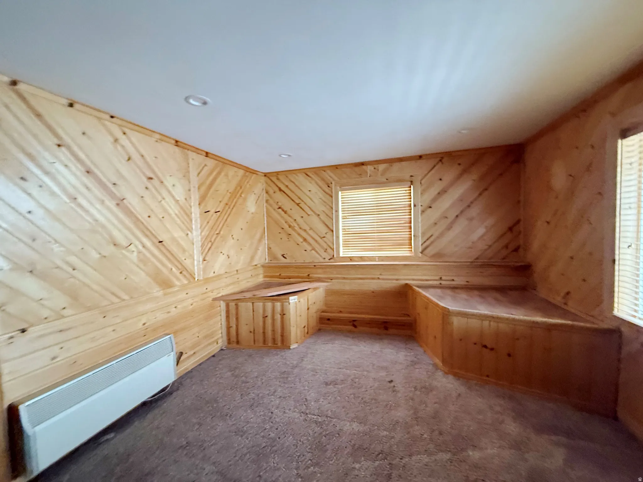 Additional living space featuring carpet flooring and a baseboard radiator