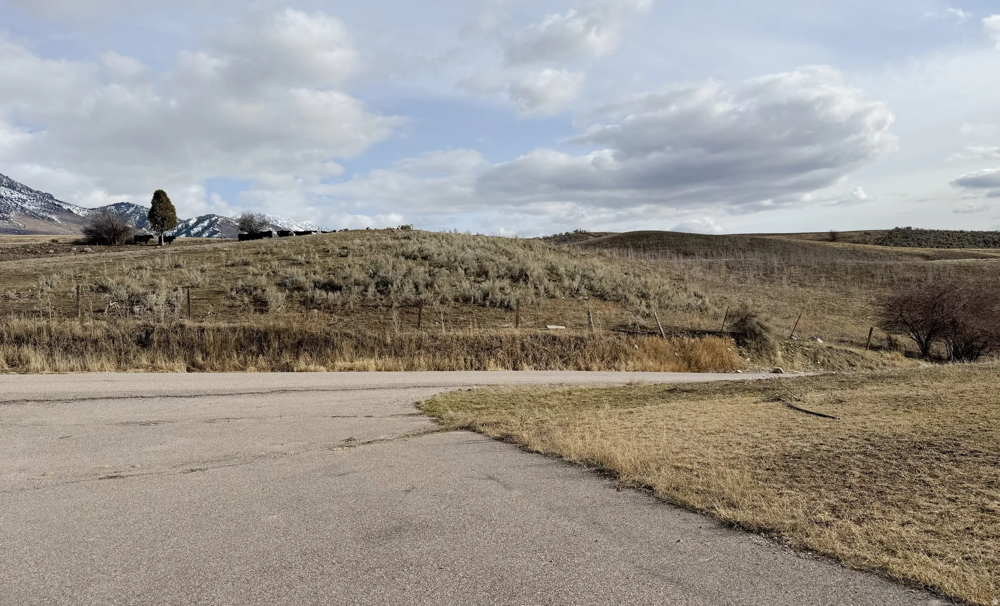View of asphalt road featuring a mountain view