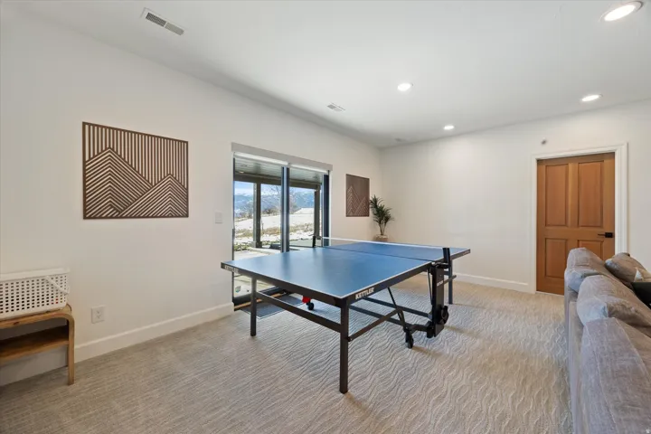 Basement Family Room