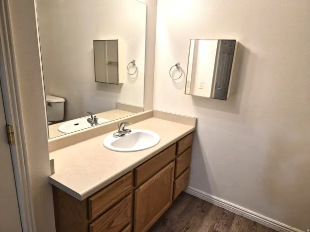 Bathroom featuring vanity, a textured wall, and dark wood-style floors