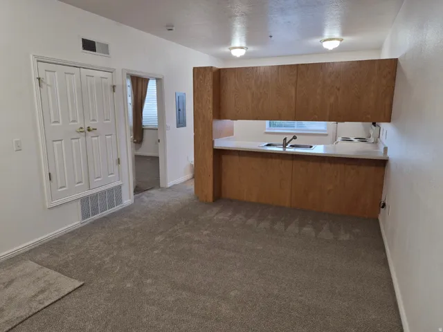 New carpet and kitchen flooring.