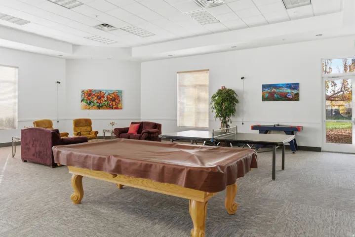 Playroom featuring a tray ceiling, billiards, and a drop ceiling