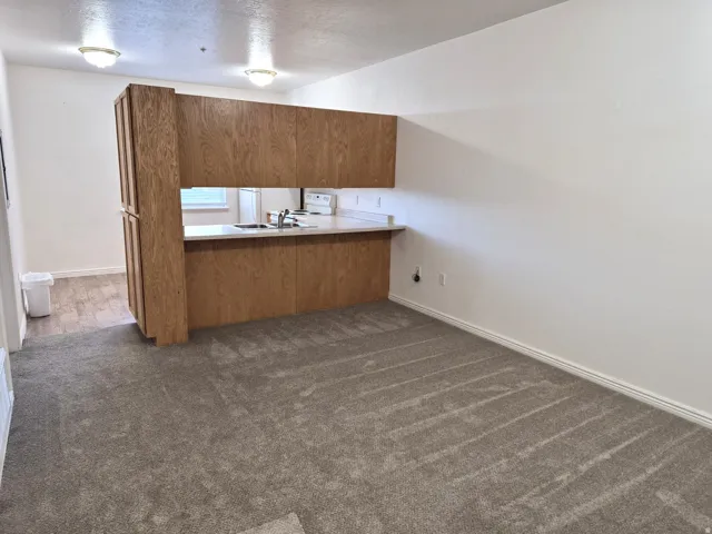 Kitchen featuring a peninsula, dark carpet, light countertops, wood finish cabinets, and white electric range