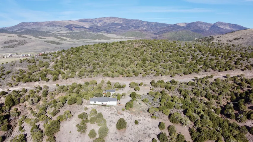 Aerial view of mountains and a forest