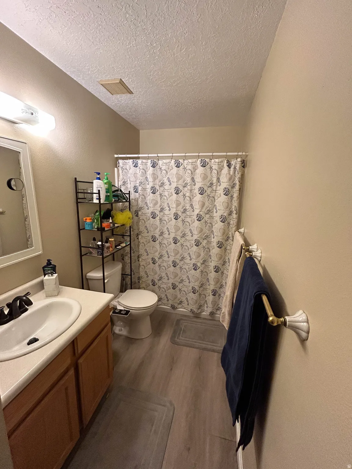 Bathroom with vanity, dark wood-style floors, a shower with shower curtain, a textured ceiling, and a textured wall