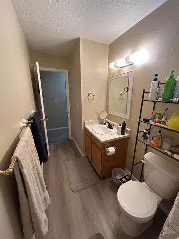 Bathroom featuring vanity, light wood-style flooring, a textured ceiling, and a textured wall