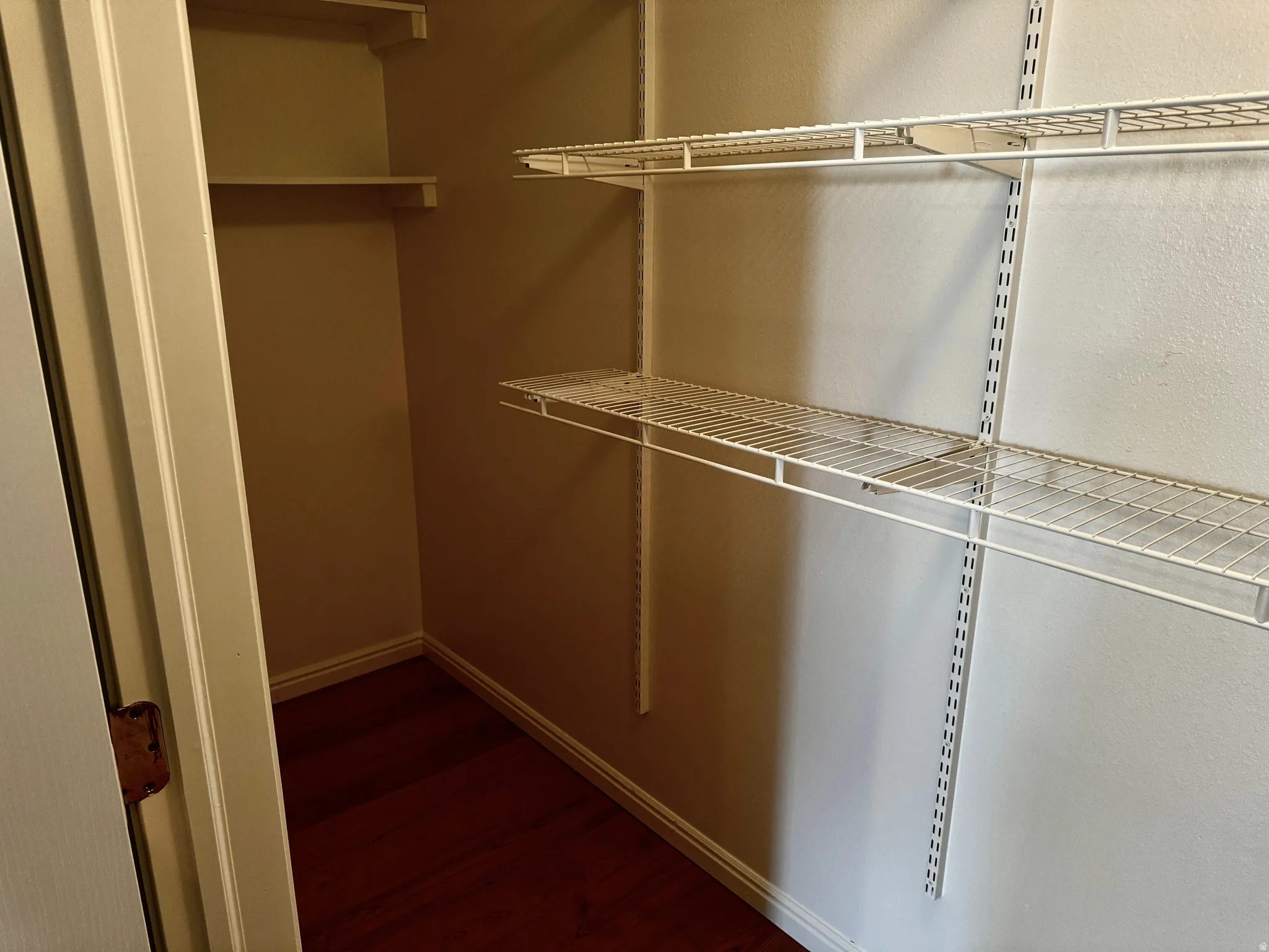 Walk in closet featuring dark wood-style floors