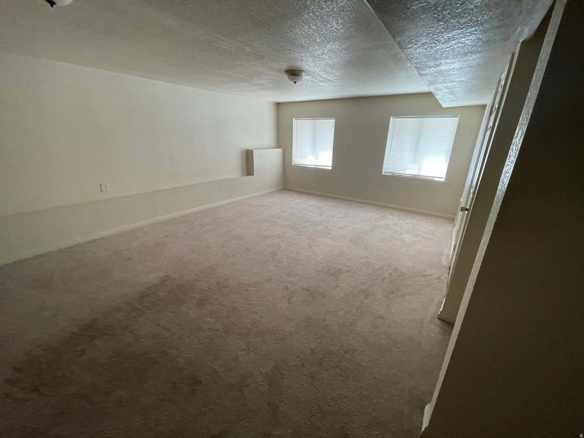 Spacious room featuring neutral carpeting and light-toned walls, illuminated by two windows with blinds