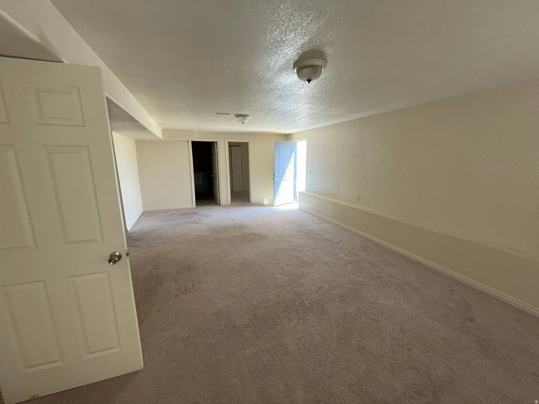 Spacious room featuring neutral carpeting, light-toned walls, and a ceiling-mounted light fixture