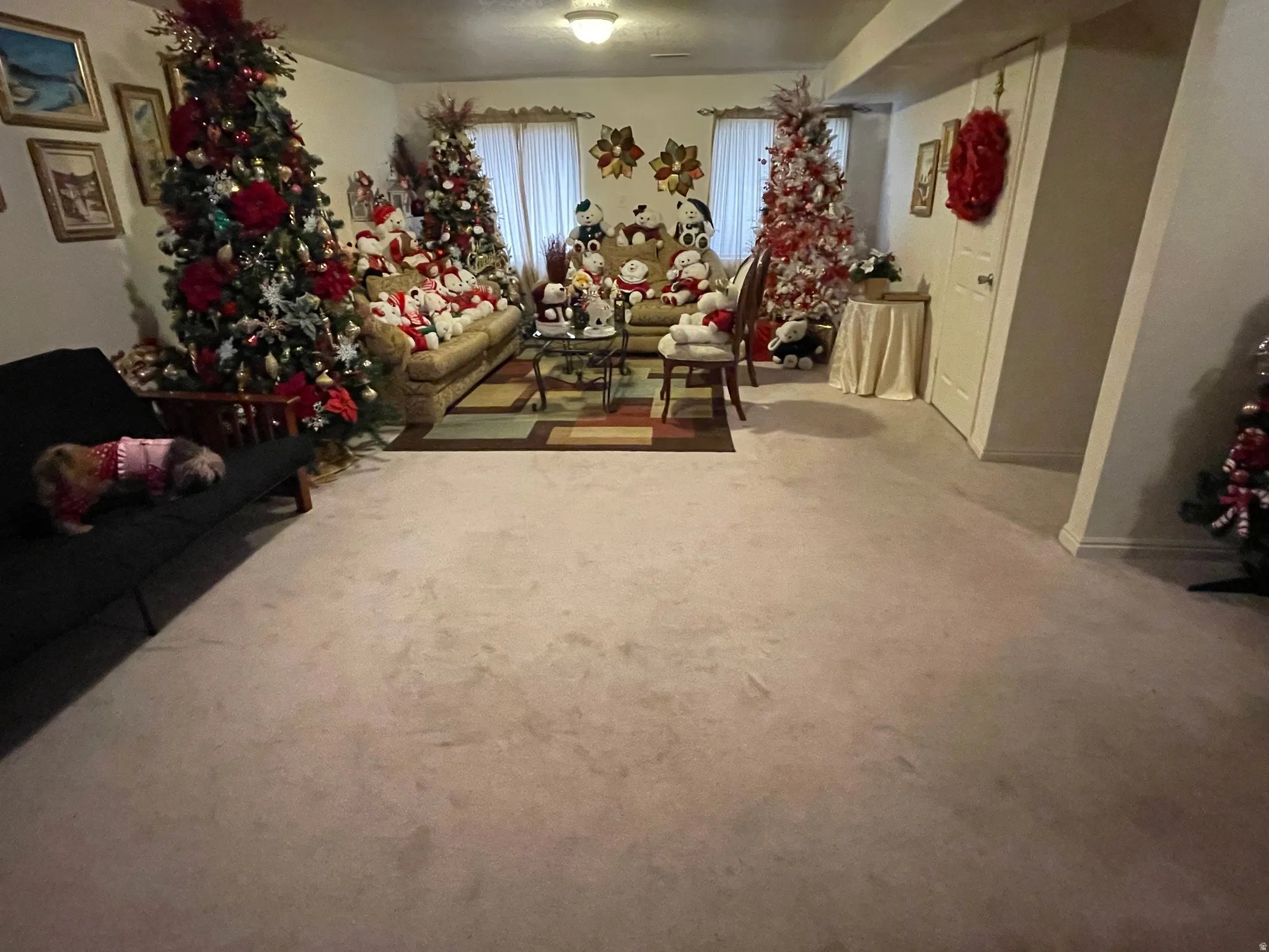 Living area featuring carpet