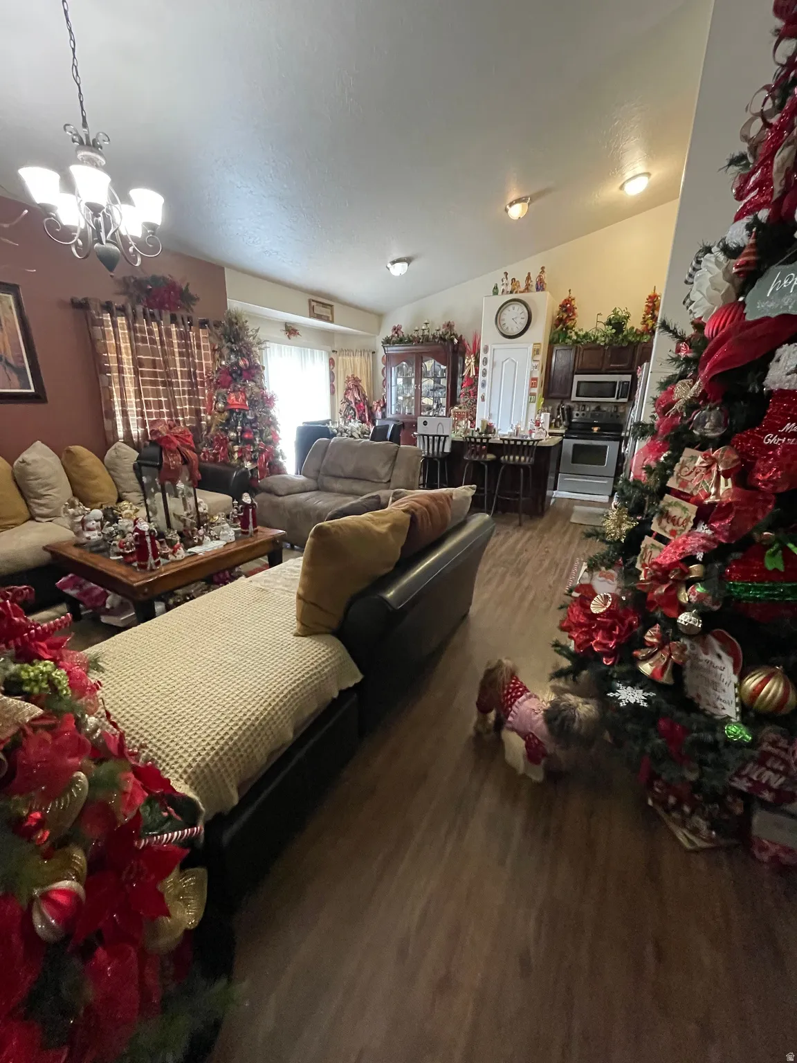 Living room featuring dark wood-style flooring and suspended lighting