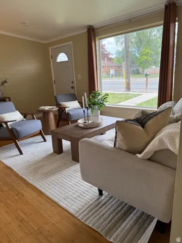 Living room featuring hardwood / wood-style floors and crown molding