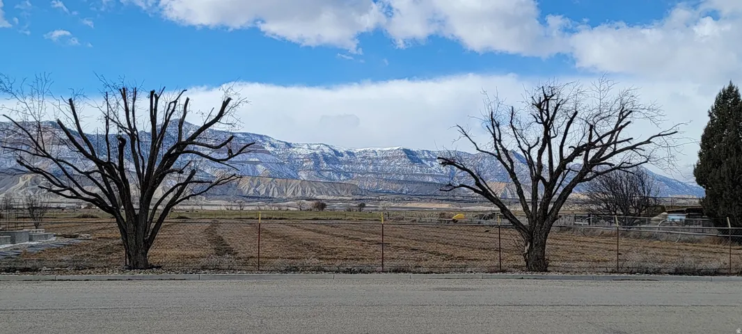 View across the street.