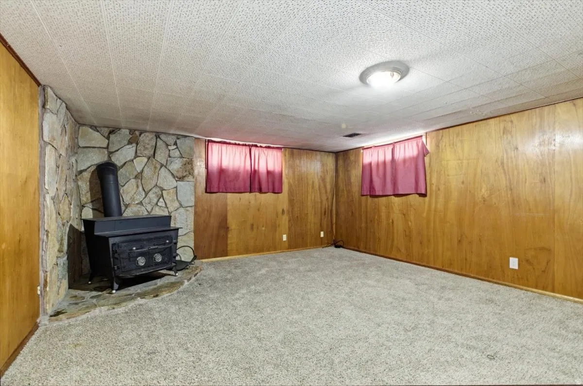 Finished basement with carpet flooring, a wood stove, and wooden walls