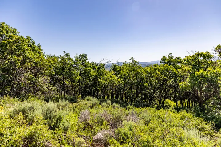 1625 W Red Hawk Trl, Park City, Utah 84098