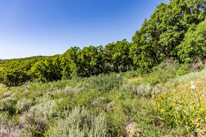 1625 W Red Hawk Trl, Park City, Utah 84098