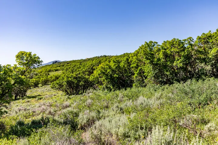 1625 W Red Hawk Trl, Park City, Utah 84098