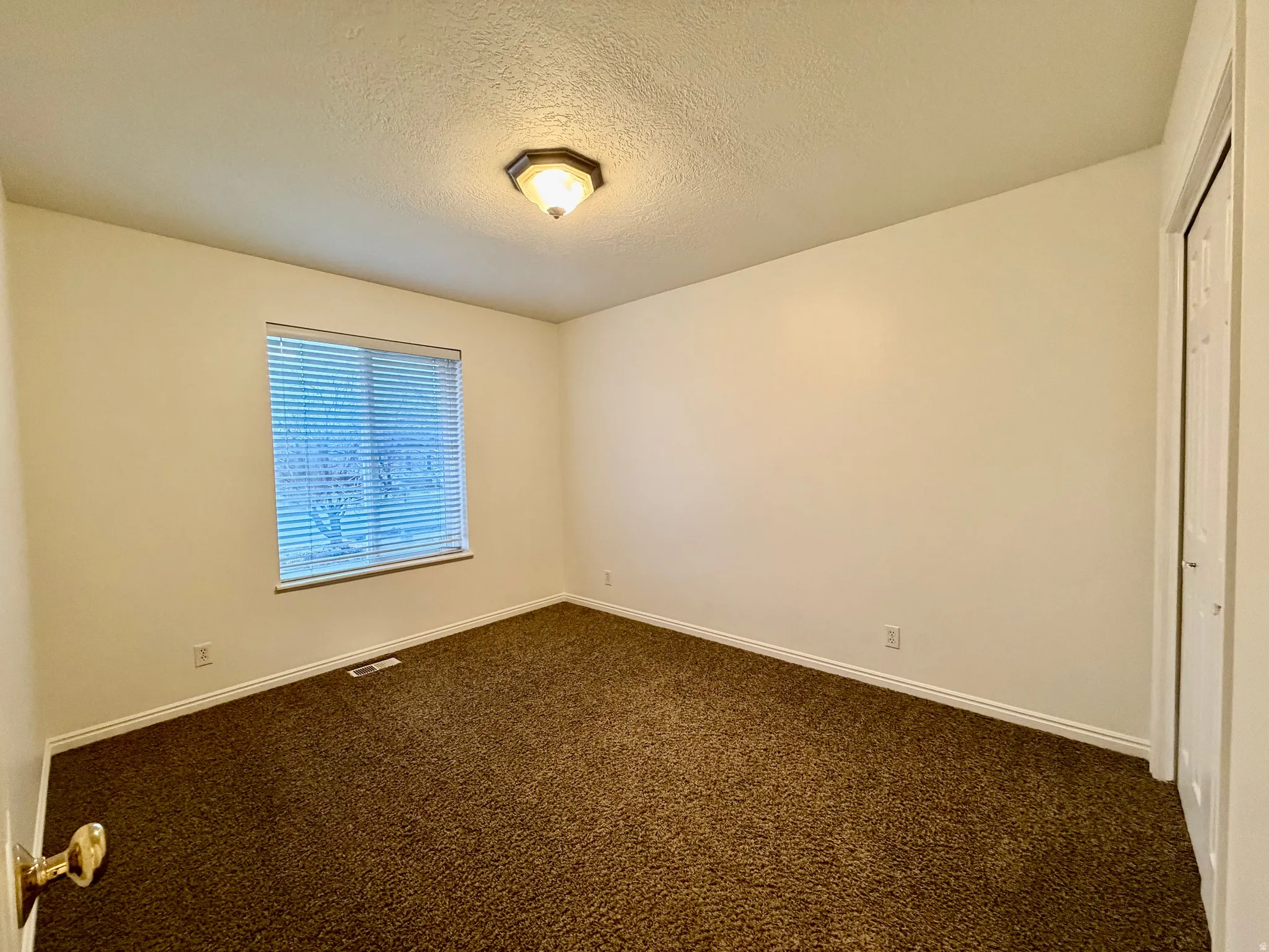 Unfurnished bedroom featuring large window with plenty of natural light, dark carpet, a textured ceiling, and a closet