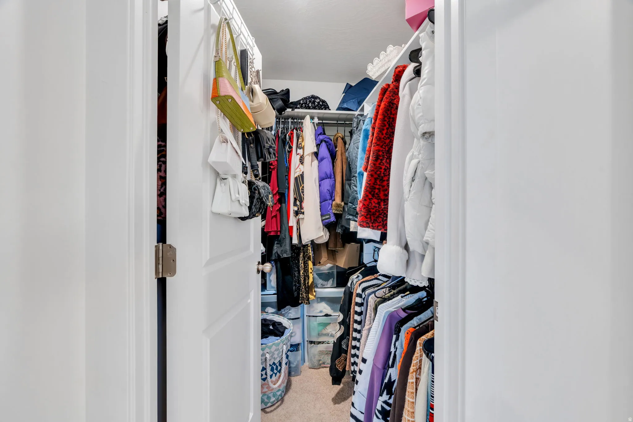 Walk in closet with light colored carpet