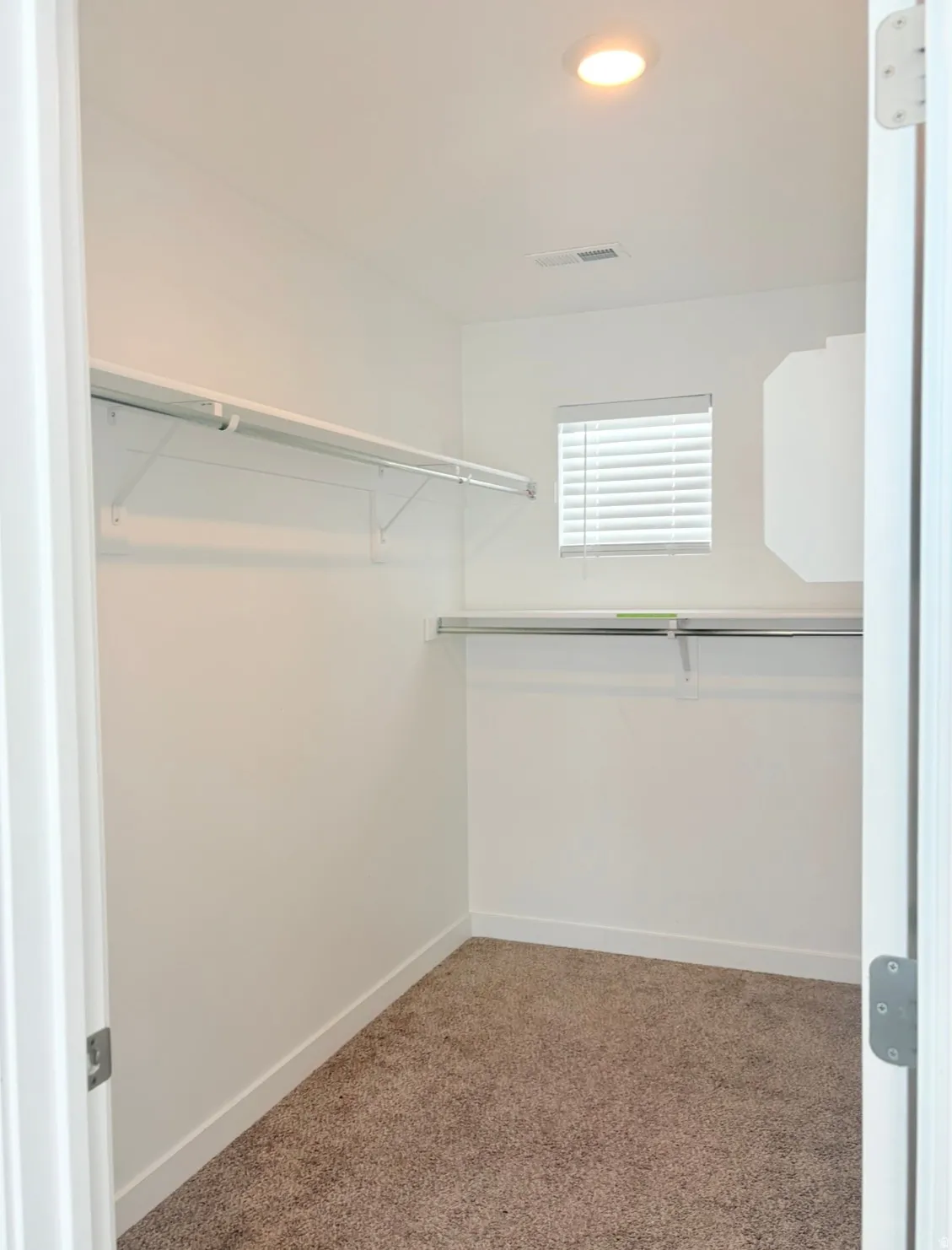 Walk in closet featuring carpet floors