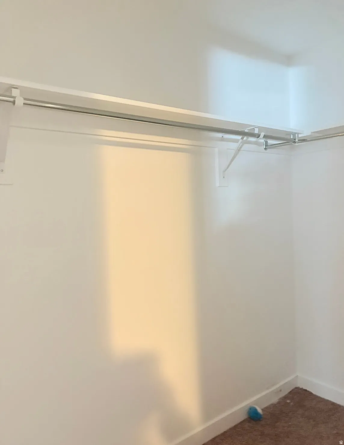 Walk in closet featuring carpet