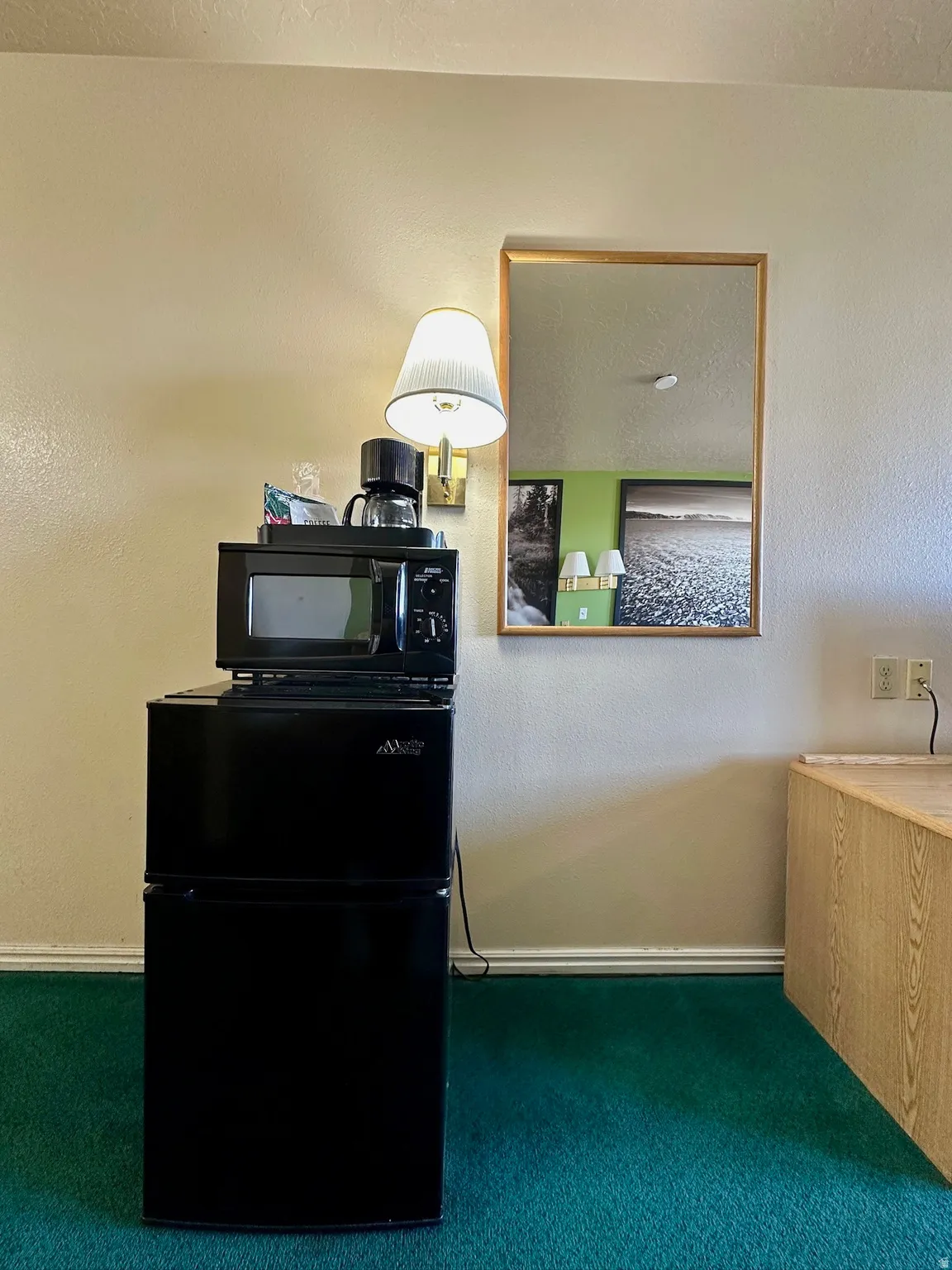 Detailed view of black appliances, carpet, and a textured wall